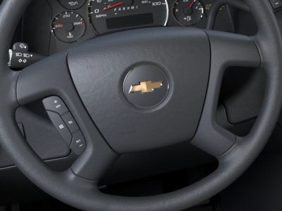 2025 Chevrolet Express Passenger 1LS